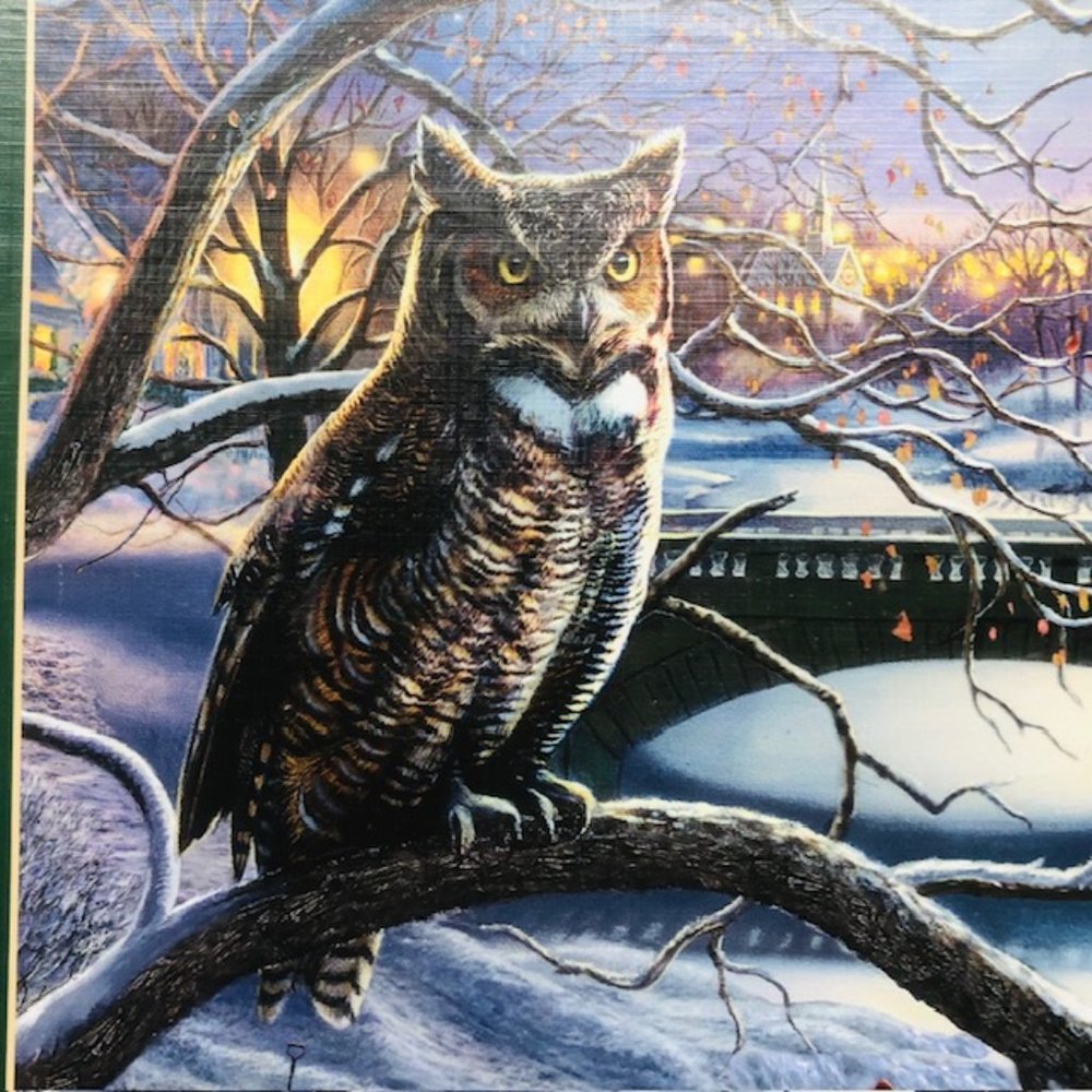 Cobble Hill  Jigsaw Puzzle 1,000 Pieces Edge of Town Owl Winter Poster